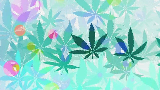 Trippy psychedelic cannabis marijuana leaf background animation. Full HD and looping motion background.