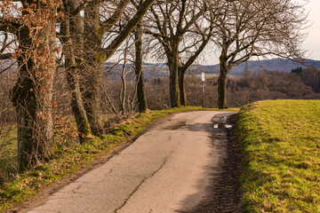 Fototapeta na wymiar Ein geteerter Feldweg führt über einen Hügel an Bäumen vorbei und bietet eine winterliche Aussicht