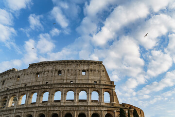 Fototapeta premium colosseum