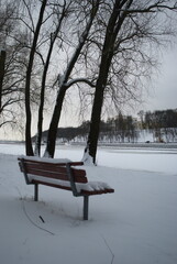 Bench by the river