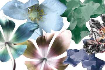 abstract multicolored flowers on a white background, a collage of buds and petals.