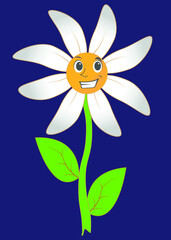 Chamomile flower on a dark background. Flower with a face. For signs and emblems
