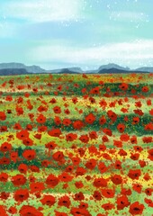 Plakat field of poppies