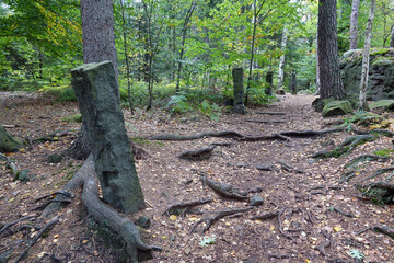Zaunreste im Bielatal