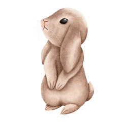 Cute little bunny. Hand drawing sketch Illustration.