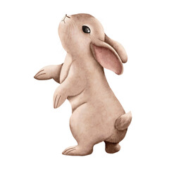 Cute watercolor bunny isolated on a white background.