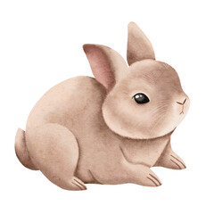 Obraz na płótnie Canvas Cute watercolor rabbit isolated on a white background.