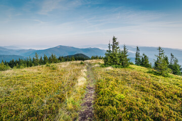 Bright Carpathian landscape in the morning light with beautiful green grass and blue sky. Panoramic view. Beauty of nature, background concept