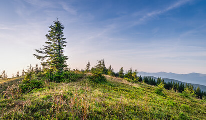 Bright Carpathian landscape in the morning light with beautiful green grass and blue sky. Panoramic view. Beauty of nature, background concept