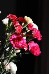flowers kwiaty goździki w wazonie kolorowe