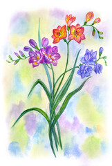 Freesia bouquet on watercolor stains background, print for poster, greeting card, home decoration flower decor and other designs.