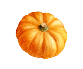 Pumpkin watercolor illustration isolated on white background