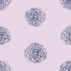Seamless background of drawn textured roses heads