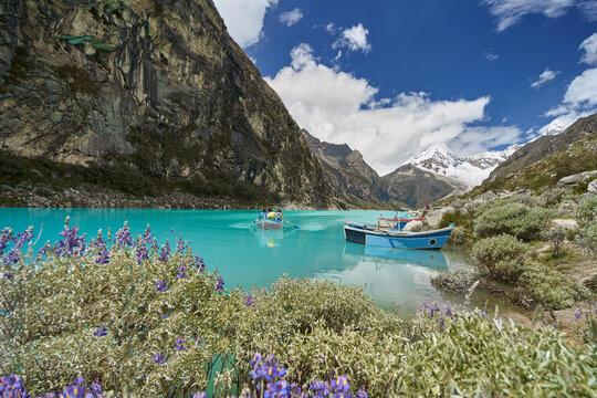Paron Lagoon seen behind flowering trees, with a boat navigating