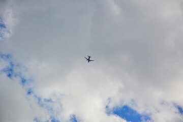 飛行機