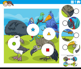 match pieces game for kids with cartoon birds characters