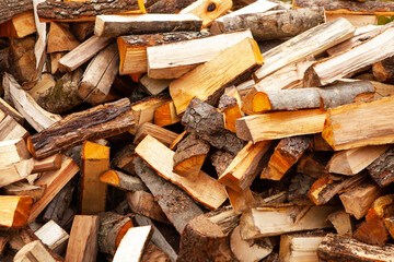 Stock of firewood for heating the house.