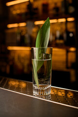 transparent cocktail glass with ice cube and tonic decorated green leaf on bar counter.