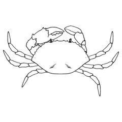linear black crab. top view of a sea crab with claws marine animal, isolated black outline on white, for the template of a restaurant with sea food