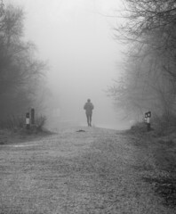 Runner in the mist