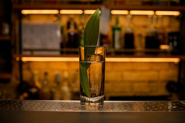front view of transparent cocktail glass with ice cube and tonic decorated green leaf on bar counter.
