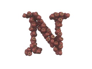 Apple Themed Font Letter N