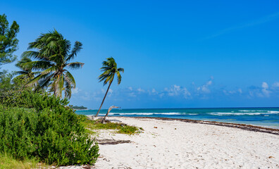 White sand beach of Playa del Carmen, Yucatan. - obrazy, fototapety, plakaty