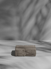 Background for goods or product. The shadow from the foliage falls on the textured stone. 3d render