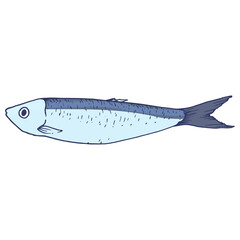 blue sardine. hand-drawn in the style of a sketch of a small spotted fish, SPRAT food is blue-gray with a blue outline, side view, isolated seafood on white for a design template