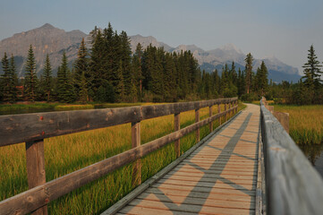 Fototapeta na wymiar Wooden boardwalk though river marsh in rocky mountains of Canmore, Alberta, Canada