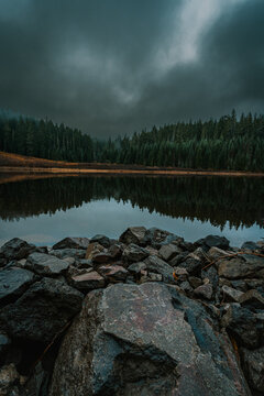 Oregon's Hemlock Lake