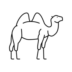 camel animal in zoo line icon vector illustration