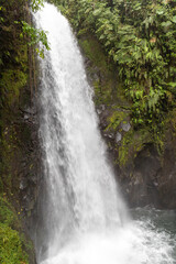Fototapeta na wymiar Beautiful natural waterfall in the rainforest of Costa Rica