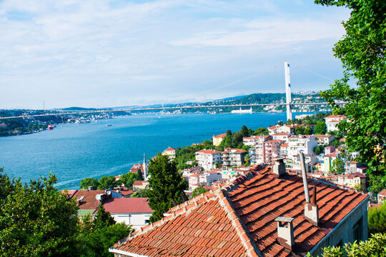 Charming photos from one of the gardens of Istanbul and the Bosphorus Bridge-sea-city-travel
