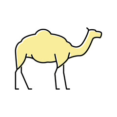 camel animal color icon vector illustration