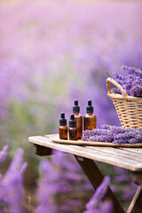 Amber essential lavender oil bottle. Violet lavendar field in Provence.