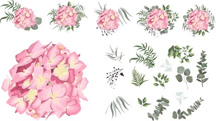 Vector set of pink hydrangea and plants. Compositions of plants. Plants and flowers isolated on a white background. Elements for floral design.