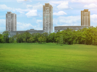Beautiful view of park with green lawn and cityscape on sunny day