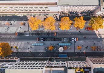 Aerial urban view above the German autumn street full of life with yellow trees squeezing between...
