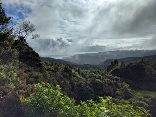 Picturesque landscape at Waitakere Ranges Regional Park, New Zealand.