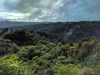 Picturesque landscape at Waitakere Ranges Regional Park, New Zealand.
