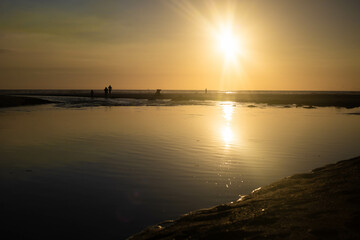 Naklejka premium Langosta Beach