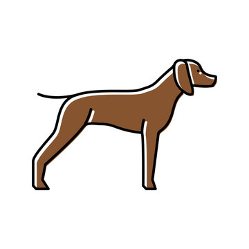german shrothaired pointer dog color icon vector illustration