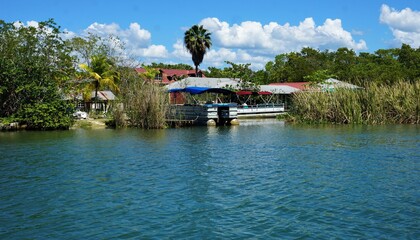 Fototapeta premium Black river, river bank