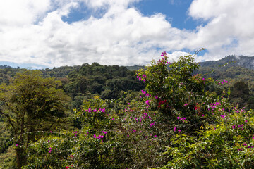 View over the treetops with cloudy skies in the rainforest of Costa Rica