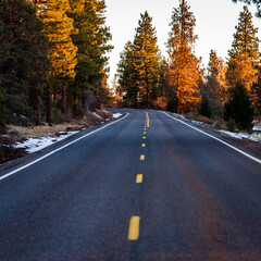Fototapeta premium rural country mountain forest highway 