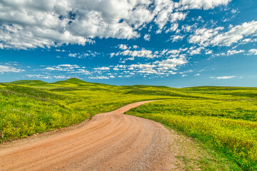 Custer State Park in South Dakota
