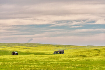 Custer State Park in South Dakota