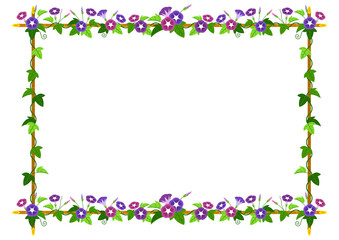 アサガオイラスト