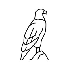 eagle bird in zoo line icon vector illustration